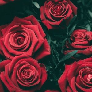 Meet your Posher, Esther